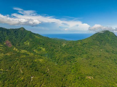 Yeşil yaprakların havadan görünüşü, tropikal bitkiler ve ağaçlar dağlar ve vadiyi kaplar. Camiguin Adası. Filipinler.