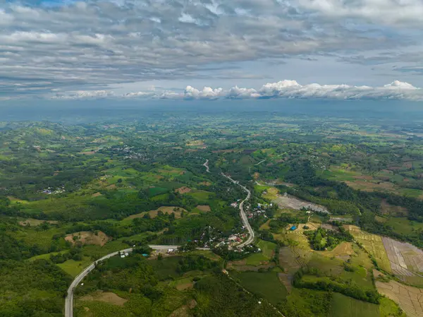 Filipinler 'deki dağ yolu ve yeşil orman. Midnanao..