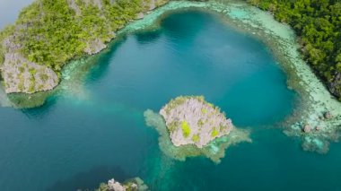 Coron, Palawan 'daki şeffaf turkuaz göl manzarası. Filipinler.