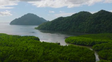 Bintuan Mangrove Parkı 'nın üzerinde uçuyor. Mavi gökyüzü ve bulutlar. Coron, Palawan. Filipinler.