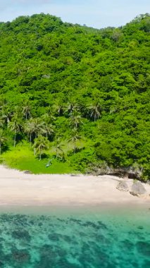 Kumlu sahilde dalgalı, berrak bir su manzarası. Carabao Adası. San Jose, Romblon. Filipinler. Dikey görünüm.
