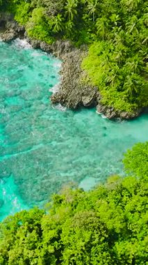 Kıyı şeridi üzerinde turkuaz deniz ve dalgalarla güneş yansıması. Carabao Adası, Romblon. Filipinler. Dikey görünüm.