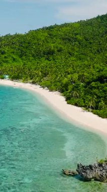 Turkuaz su ve kumsalın havadan görünüşü. Cobrador Adası. Romblon, Filipinler. Dikey görünüm.