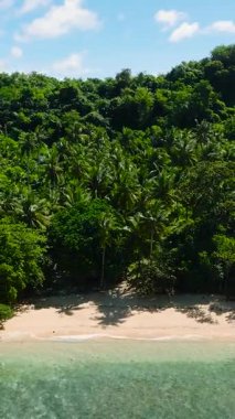Hindistan cevizi ağaçları ve dalgaları olan küçük kumsal manzarası. Romblon, Romblon. Filipinler. Dikey görünüm.