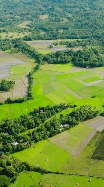 Yeşil çeltik tarlaları ve evleri olan tarım arazisi. Tablas Adası 'ndaki tropik orman. Romblon, Filipinler. Dikey görünüm.
