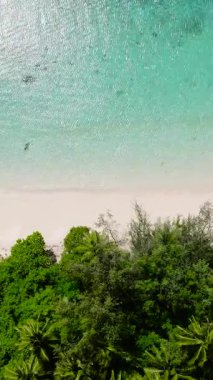 Beyaz kumlu kıyı şeridi manzarası ve turkuaz berrak su ve güneş yansıması. Romblon Adası. Romblon, Filipinler. Dikey görünüm.