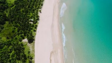 Hindistan cevizi palmiyeleri ve Nacpan Sahili 'ndeki beyaz kumsal. El Nido, Palawan. Filipinler.