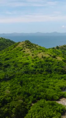 Yeşil orman ve ormanlı Dimanglet Adası. Kumsal ve turkuaz deniz suyu olan mercanlar. Coron, Palawan. Filipinler. Dikey görünüm.