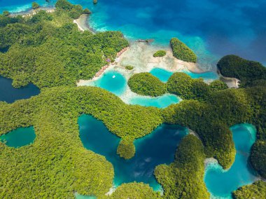 Tropikal adanın doğal manyetik doğası. Göl suyunda şeffaf turkuaz okyanus suyu. Bucas Grande Adası. Mindanao, Filipinler.