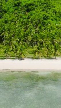 Kumsalda beyaz kumlu hindistan cevizi ağaçları ve berrak sularda tekneler. Cobrador Adası. Romblon, Filipinler. Dikey görünüm.