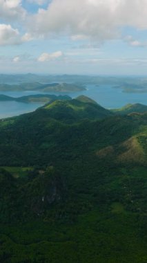 Bintuan 'da mangrov ormanları olan tropik bir ada. Coron, Palawan. Filipinler. Dikey görünüm.