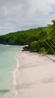 Carabao Adası 'nda kumlu sahil ve hindistan cevizi ağaçları olan bir deniz bahçesi. Romblon, Filipinler. Dikey görünüm.