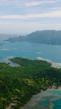 Ada çevresinde mangrovlu turkuaz deniz suyu. Lajala, Coron. Palawan 'da. Filipinler. Dikey görünüm.