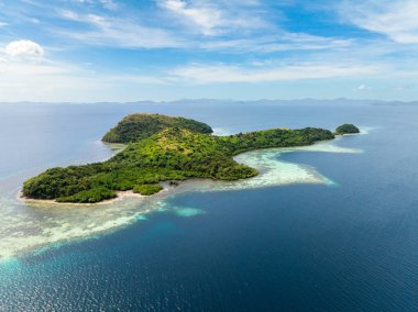 Turkuaz deniz suyu olan mercanlar. Yeşil orman ve ormanlı Dimanglet Adası. Coron, Palawan. Filipinler.