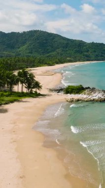 Kumlu sahilde güzel okyanus dalgaları ve palmiye ağaçları. El Nido, Palawan 'daki Duli Plajı. Filipinler. Dikey görünüm.