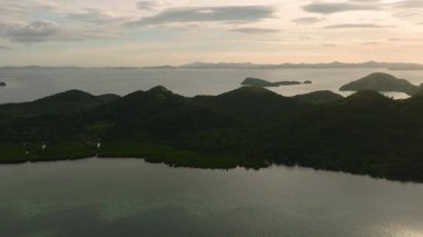 Alacakaranlıkta mangrovları ve ağaçları olan bir ada. Coron, Palawan, Filipinler.