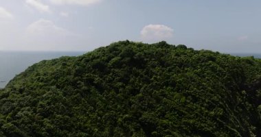 Bereketli yeşil orman, parlak mavi gökyüzünün altında sakin bir okyanus ufkuna doğru uzanıyor. Ko Pha Ngan, Tayland.