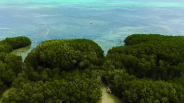 Bantayan Adası 'ndaki Mangrov ve yağmur ormanları. Mercan resifli turkuaz deniz suyu. Cebu, Filipinler.