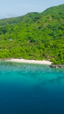Cobrador Adası sahillerinde beyaz kumlar. Romblon, Filipinler. Dikey görünüm.