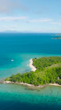 Yeşil deniz suyu ve mercanları olan tropik bir sahil. Logbon Adası. Romblon, Romblon. Filipinler. Dikey görünüm.