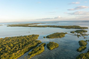 Tropikal adada dolambaçlı suları olan Mangrove adaları. Lapu-Lapu, Filipinler 'deki Olango Vahşi Yaşam Sığınağı.