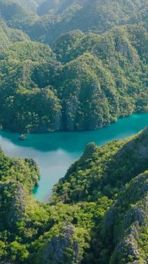 Coron, Palawan 'daki Kayangan Gölü' nde bulunan muhteşem kireçtaşı kayaları. Filipinler. Dikey görünüm.