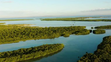 Lapu-Lapu 'daki Vahşi Yaşam Sığınağı' nın insansız hava aracı görüntüsü. Günbatımlı tropik yağmur ormanı. Olango Adası, Cebu.