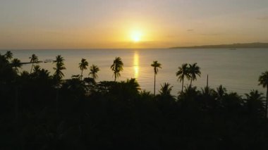 Tropik günbatımı gökyüzü ve okyanus boyunca parlak renkler ve ön planda palmiye ağacı siluetleri bırakıyor. Santa Fe, Tablo, Romblon, Filipinler.