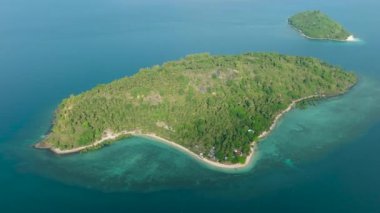 Buh-Buh Adası 'ndaki kumsalda masmavi su mercanları ve mercanları var. Zamboanga del Sur, Filipinler.