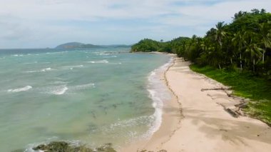 Geniş kumlu sahil, kıyı şeridi boyunca yemyeşil yemyeşil verimli turkuaz sularla karşılaşıyor. Santa Fe, Tablo, Romblon, Filipinler.