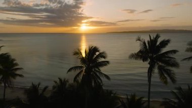 Gün batımı, sakin okyanus dalgalarını yansıtan altın ışığıyla palmiye ağaçları tarafından çerçevelenmiştir. Santa Fe, Tablo, Romblon, Filipinler.