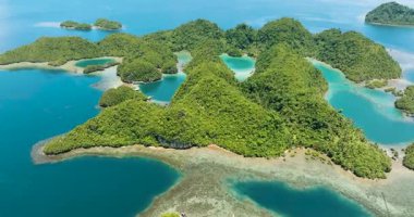 Göl kenarlı Tropik Ada 'nın havadan görünüşü. Turkuaz su ve mercanlar. Mindanao, Filipinler.