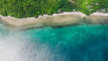 Yukarıdan aşağıya yeşil ve canlı turkuaz sularla çevrili tropikal bir sahili gösteriyor. Santa Fe, Tablo, Romblon, Filipinler.