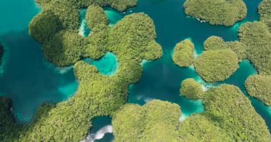 Körfezi ve gölleri olan tropik bir ada. Sohoton Koyu. Bucas Grande Adası. Mindanao, Filipinler.