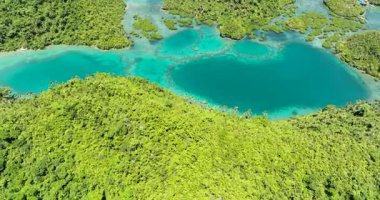 Kartallar, gölde saydam su bulunan tropikal adaya bakar. Tinago Adası. Mindanao, Filipinler.