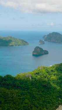 Tropikal adadaki yeşil bitki ve ağaçların havadan görünüşü. El Nido, Palawan. Filipinler. Dikey görünüm.