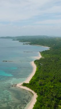 Şeffaf turkuaz deniz suyu, mercanlar ve beyaz kumlu plaj. Santa Fe, Tablas, Romblon. Filipinler. Dikey görünüm.