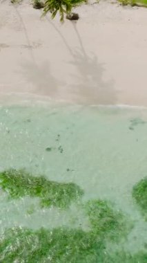 Şeffaf su ve dalgalar, Carabao Adası 'ndaki Sea Garden plajına çarpıyor. Romblon, Filipinler. Dikey görünüm.