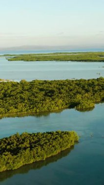 Lapu-Lapu 'daki Vahşi Yaşam Sığınağı' nın insansız hava aracı görüntüsü. Günbatımlı tropik yağmur ormanı. Olango Adası, Cebu. Dikey görünüm.