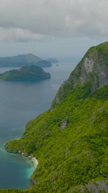 Cadlao Adası 'ndaki yeşil ağaçlar ve bitkiler. El Nido, Palawan. Filipinler. Dikey görünüm.