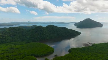 Sangat Adası ve Bintuan Mangrove Parkı. Mavi gökyüzü ve bulutlar arka planda. Coron, Palawan, Filipinler.