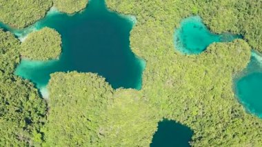 Sohoton Koyu 'ndaki göl manzarası. Doğal doğa kompozisyonu. Bucas Grande Adası. Mindanao, Filipinler.