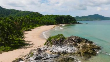 Palmiye ağaçları sahil ve orman arasındaki sınırı çiziyor. Duli Sahili 'nde kayalıklarda okyanus dalgaları. El Nido, Palawan. Filipinler.