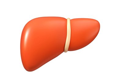 Karaciğer vektörü 3d simgesi. Beyaz arka planda izole edilmiş insan organı çizimi. Basit tasarım ögesi, metabolizma konsepti