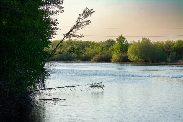 Güzel botanik çekimi, doğal duvar kağıdı Uralsk, Kazakistan