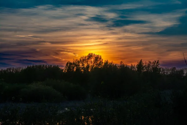 Güzel botanik çekimi, doğal duvar kağıdı Uralsk, Kazakistan