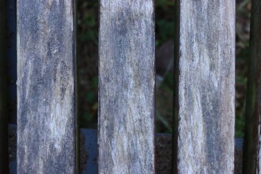 Parktaki bankta tahtalar