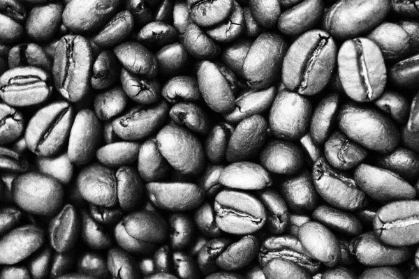 Arka Planda Seçilen Kahve Çekirdekleri — Stok fotoğraf