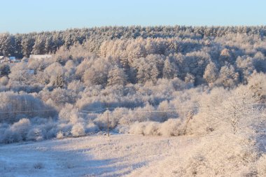 Polonya kırsalında kış manzarası