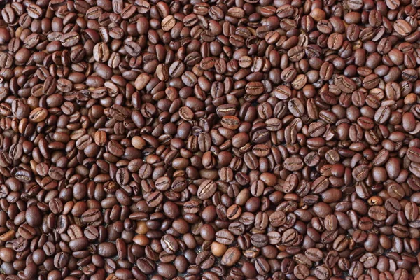 Selected Coffee Beans Forming Background — Stock Photo, Image
